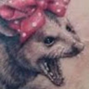 Meet your Posher, Gavin